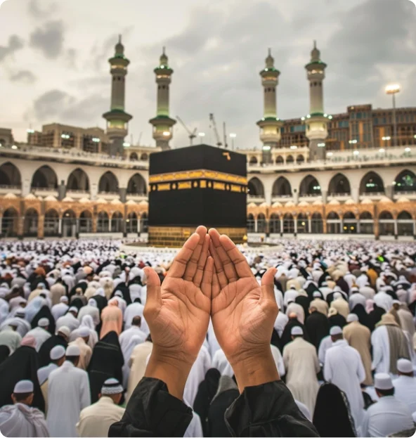 banner-image